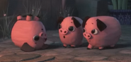 3 Piglets