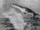 U-28 Creature