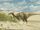 Saurolophus