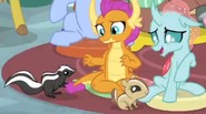 Skunk and chipmunk MLP