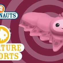 Snot Sea Cucumber Animals Wiki Fandom Sea cucumbers are marine invertebrates that live on the seafloor. snot sea cucumber animals wiki fandom