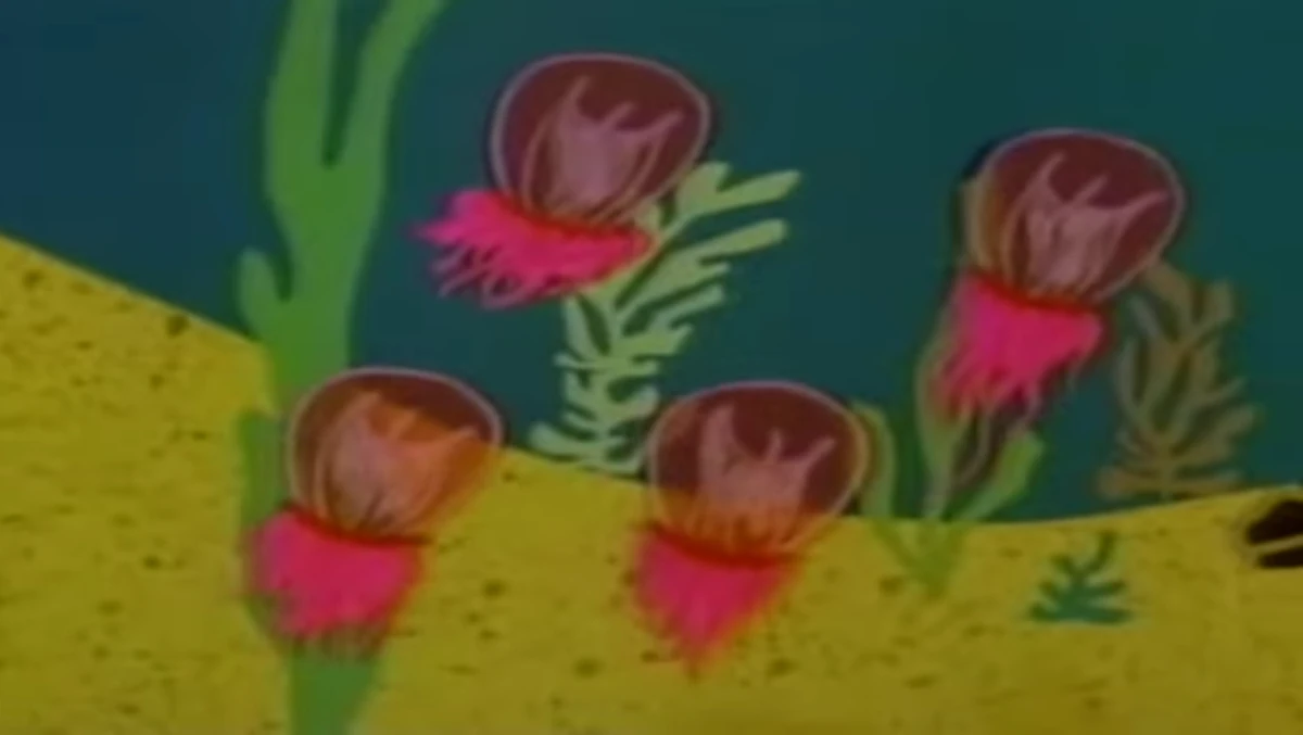 Box Jellyfish Animals Wiki Fandom