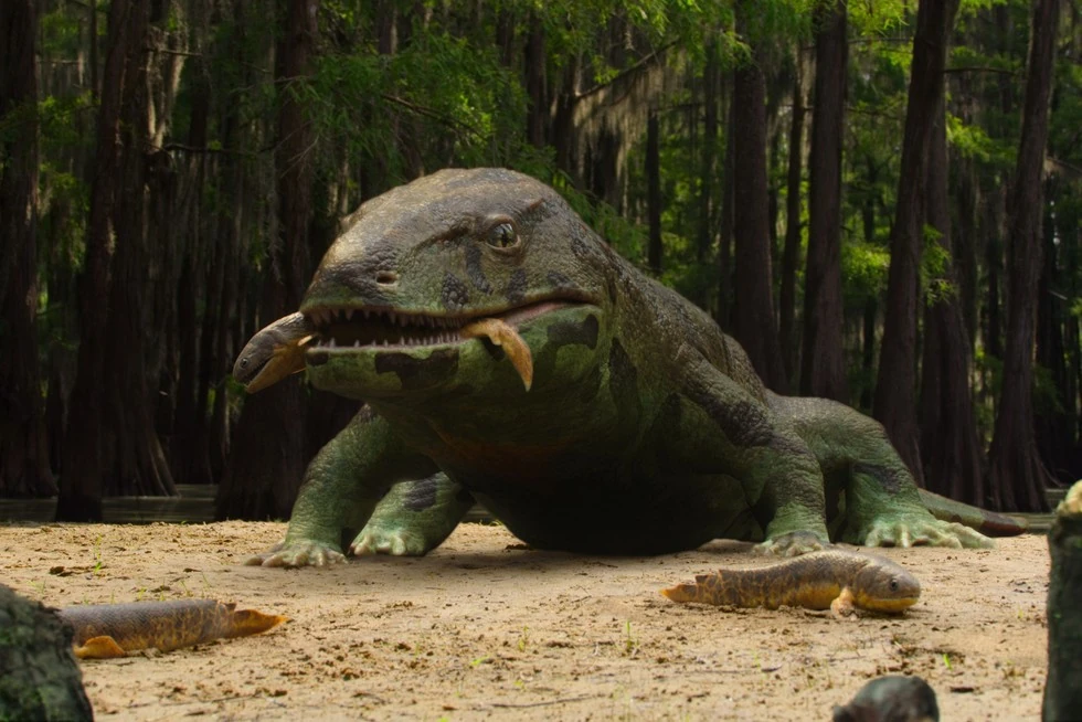 Anthracosaurus Animals Wiki Fandom