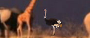 Animals United (2010)