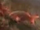 Atlantic Creolefish
