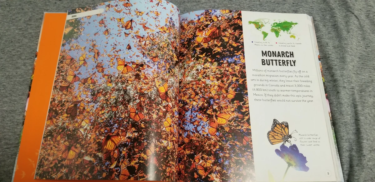 List of Species in DK Amazing Animal Journeys Animals Wiki Fandom