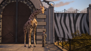 Giraffe-thomas-and-friends