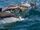 Long-beaked Common Dolphin