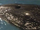 Atlantic Spotted Dolphin