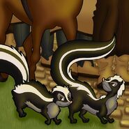 Stealthy skunks