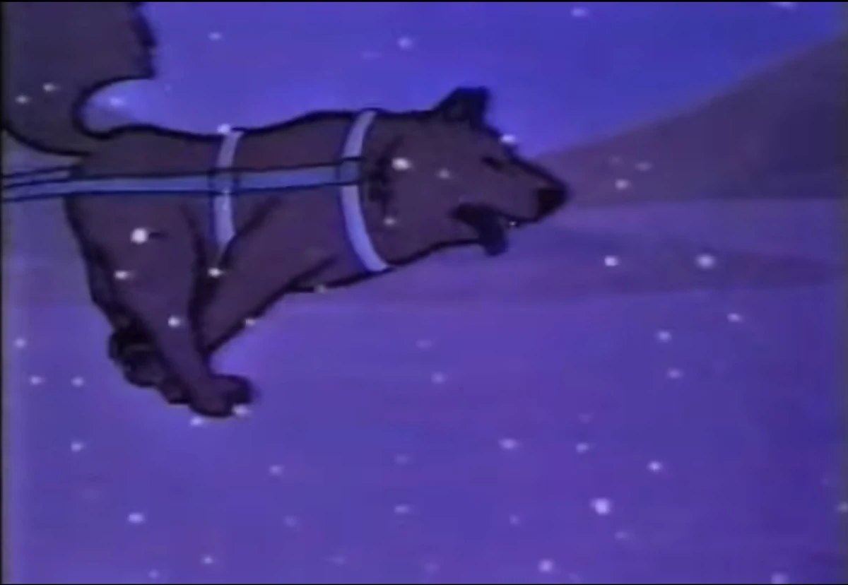 Sakhalin Husky Animals Wiki Fandom