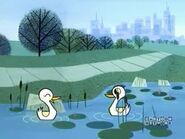 PPG Ducks