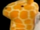 Prolibytherium