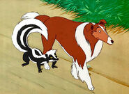 Lassie skunk