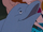 Dusky Dolphin