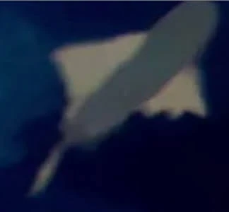 Entelognathus Animals Wiki Fandom