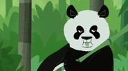 Wild Kratts (2011 - current)