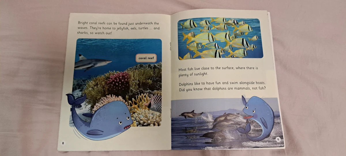 These are Animals in Read Write Inc The Deep Blue Sea | Animals Wiki ...