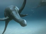 Kimmerosaurus