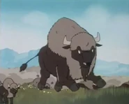 American Bisons In Once Upon A Time… America.jpeg (211 KB)