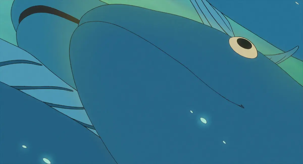 Cetonurus globiceps Animals Wiki Fandom