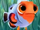 Chagos Anemonefish