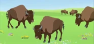 American-bison-wild-kratts.png (593 KB)