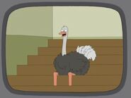 Ostrich-family-guy