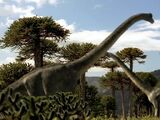 Brachiosaurus