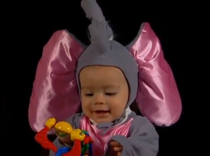 Sicilian Dwarf Elephant Animals Wiki Fandom