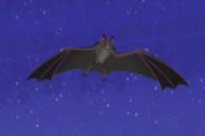 Common Vampire Bat (Wild Kratts)