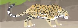 Jaguar | Animals Wiki | Fandom Jaguar | Animals Wiki | Fandom