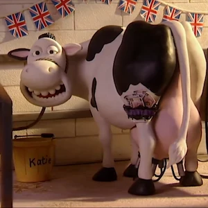 List Of Species From Creature Comforts Animals Wiki Fandom