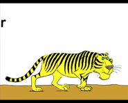 ABCD Tiger