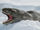 Leopard Seal
