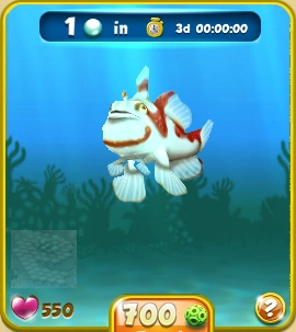 Warty Frogfish | Animals Wiki | Fandom