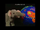 Pygmy Mammoth