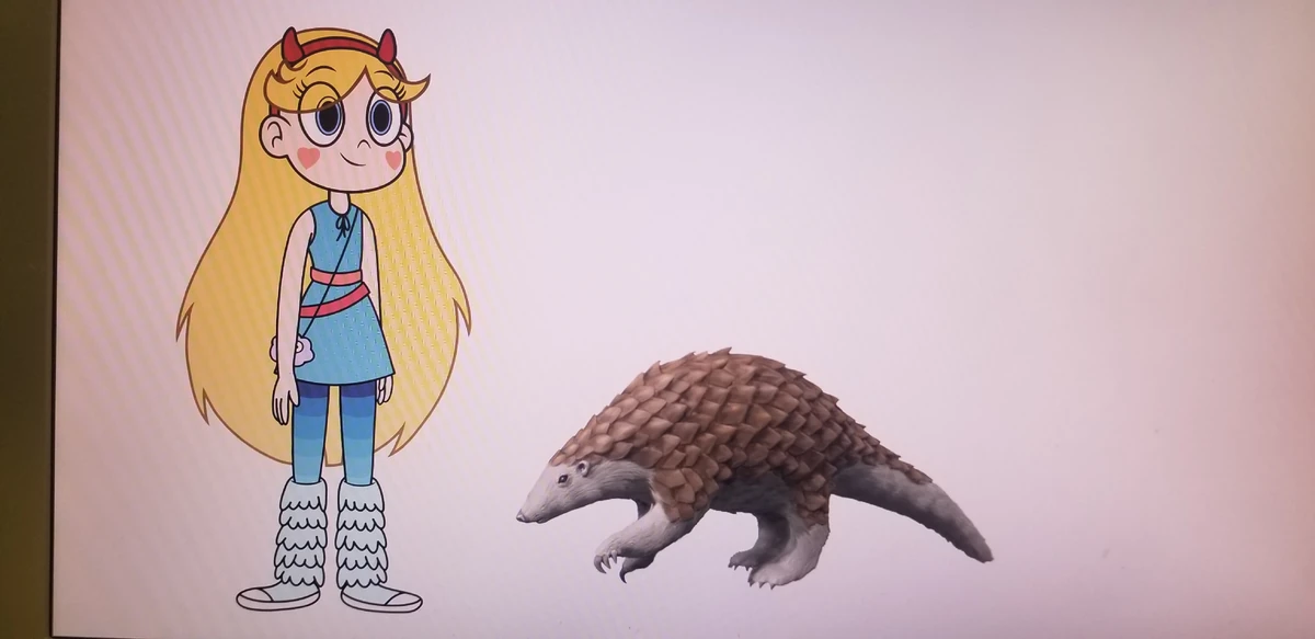 Eomanis Animals Wiki Fandom