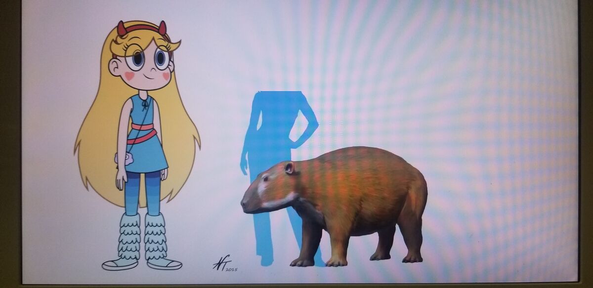 Gigantohyrax Animals Wiki Fandom