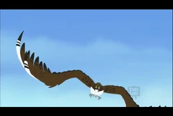 Wild Kratts The Fourth Bald Eagle Season Episode 14 PBS | atelier-yuwa
