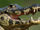 Spectacled Caiman