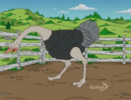 The Simpsons (1989 - current)
