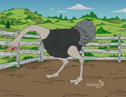 Ostrich-the-simpsons