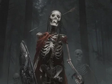 Skeleton