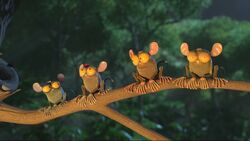 List of Species in The Jungle Bunch | Animals Wiki | Fandom List of Species in The Jungle Bunch | Animals Wiki | Fandom