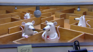 Creature Comforts Lab Mice