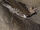 Oilbird