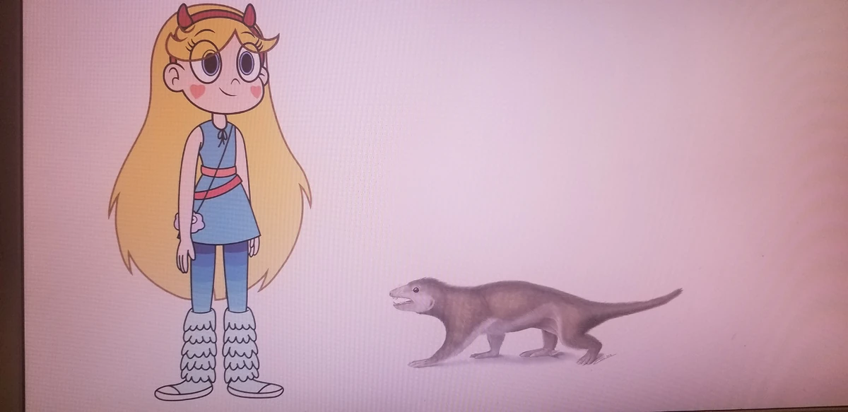 Megaconus Animals Wiki Fandom