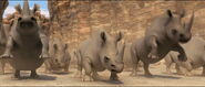 White-rhinoceros-animals-united