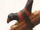 Guam Rail
